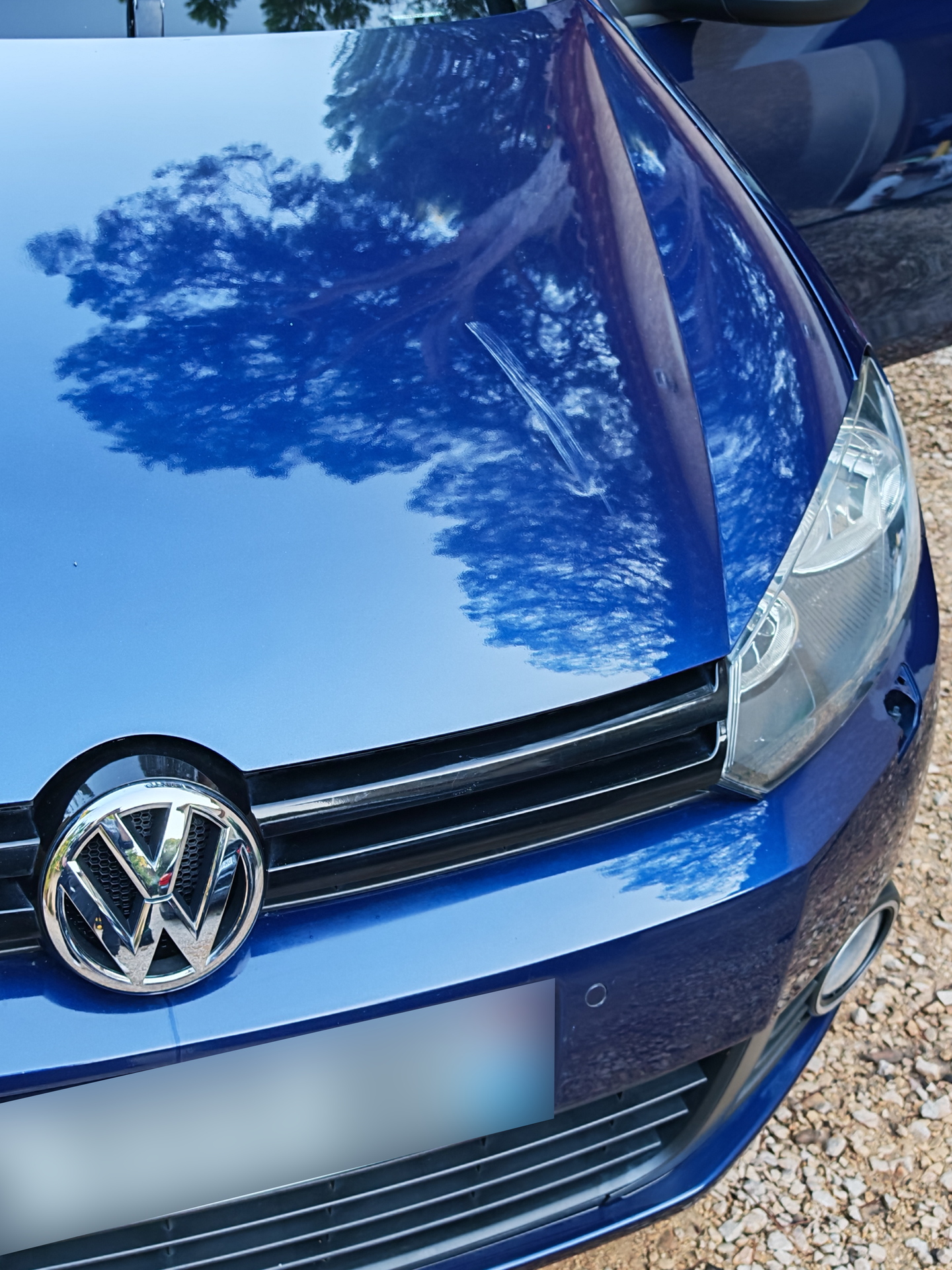 Capot bleu d’une Volkswagen Golf 6 après lavage complet, carrosserie brillante avec reflets nets des arbres